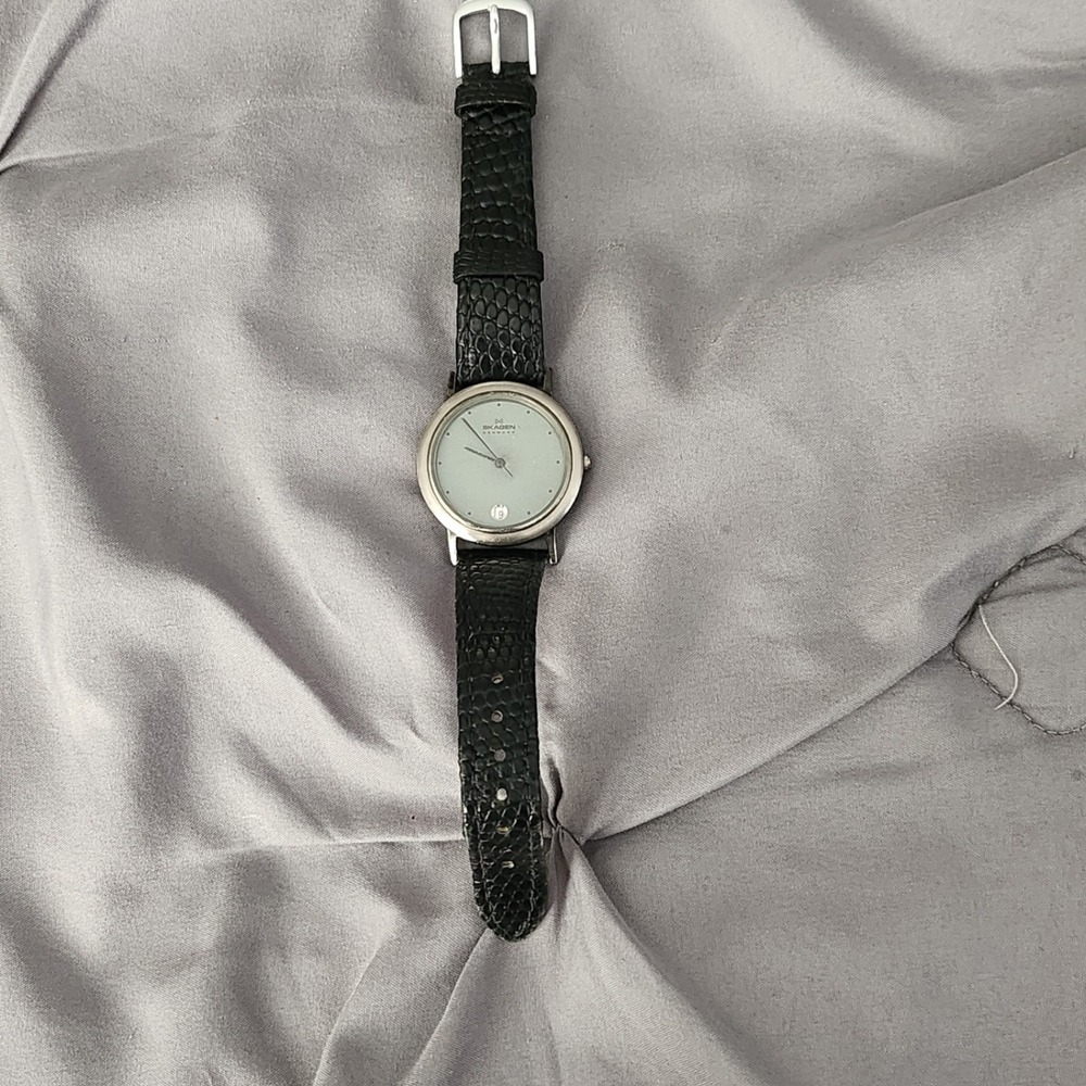 Skagen Denmark Men Watch Silver Tone Blue Dial Date Black Leather Strap 105LSLB